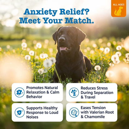 Pet Calming Chews